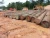 Import A grade okoume wood logs for sale. from South Africa