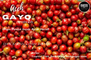 Arabica Green Coffee - Sumatra GAYO
