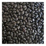 Black Kidney Beans Premium Quality Dried Beans Bulk Wholesale Supplier for Export