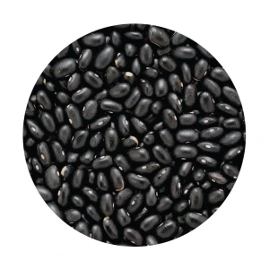 For sale high-quality Black Beans carefully selected and packed for freshness and nutrition