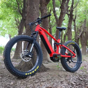 750w1000w electric bike chinese electric bike with hidden battery