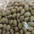 Import Pistachio Nuts Raw/ In shell/ Roasted sweet high quality and cheap Pistachio Nuts from South Africa