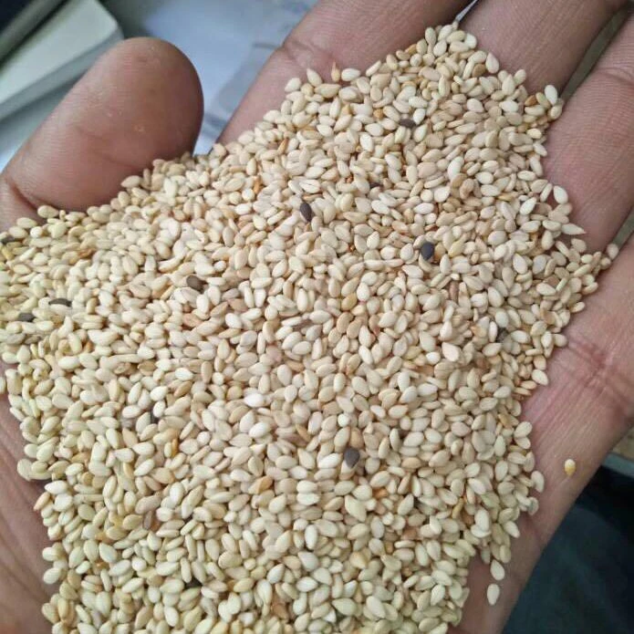 Natural White Sesame Seeds, 99% Pure