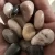 Import 1 - 2cm Superior mixed color polished pebbles crushed stone from China