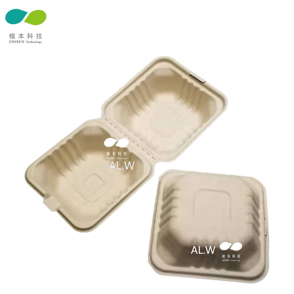 Buy 100% Biodegradable Disposable Bamboo Paper Pulp Food Container from ...