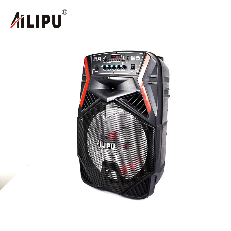 Buy 12 Inch Subwoofer Speaker Portable Trolley Speaker Audio Player ...