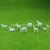 Import 1:87 and 1:150 scale plastic miniature model farm animals from China
