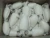 Import 1st Grade High Quality Frozen Squid With Best Price from South Africa
