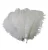 Import 20-25cm Custom White Bulk Ostrich Feather from China