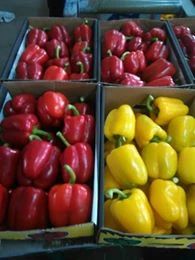 200g Fresh Bell pepper/color capsicums