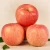 Import 2018 New Crop Pome Fruit Fresh Style Red Fuji Apple for export from China