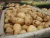 Import 2019  fresh chinese yellow potato all size (S M L 2L ) from owned farm supplying all the year round to the world from China