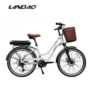 2020 Electric bike lithium battery power ,supply urban lady basket  250W 36V cargo, e bike electric scooter bike city bike