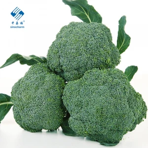 2020 High Quality Fresh Vegetable Fresh Broccoli