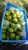 Import 2020 New China Fresh pears fruit from China