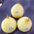 Import 2020 Pear healthy Fresh Pears Fruit Wholesale for sale from China