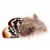 Import 2.4-4 inch(6-10 cm)Wholesale High Quality Small Size Black And Brown Reeves Pheasant Feather from China