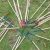 Import 31Pcs Wooden Mikado Bamboo Giant Pick Up Sticks Mikado Garden Game Sets from China