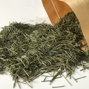 4090 Song zhen health herbal tea natural pine needle for tea