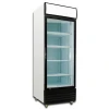 430L commercial refrigeration equipment / upright glass door refrigerator / vegetable refrigerator for supermarkets
