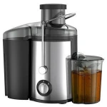 600W Wide Mouth Juice Extractor, Juicer Machines BPA Free Compact Fruits & Vegetables Juicer, Dual Speed Centrifugal Juicer