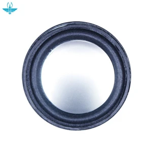 Acoustic Loudspeaker 8 Ohm 5W 50MM Speaker Internal Magnetic 13 Core 18MM Magnetic 18MM Thickness