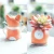 Import Adorable Cartoon Succulent Vase Flower Pots for Home office Decor from China