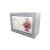 Import Advertising Equipment 32 inch Dual-Core CPU Transparent LCD Light Box Display from China