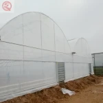 Agricultural planting strawberry large-span greenhouse film greenhouse cultivation garden greenhouse