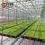Import Agricultural Products Hot Film Black Weed Mat Ground Cover Fabric from China