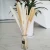 Import Amazon wholesale popular fully small pampas dried pampas for home decorations from China