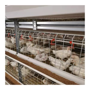 animal husbandry equipment  fully automated H type poultry broiler chicken cages with Feed Processing Machines