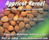 Apricot Kernel
