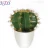 Import Artificial plants wholesale faux Cactus artificial succulent plants potted for garden home decor from China