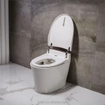 Automatic wash self operation concealed cistern electronic toilet