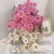 Import Baiyue Direct Supply Dry Natural Real Flowers Pink White Eternal Daisy Dried Preserved Rhodanthe from China