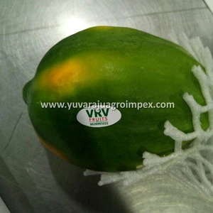 Best Price And Sweet Fresh fruits Papaya Exporter In India to /UK/UAE/ Singapore /London/Europe/Dubai/Maldives/USA
