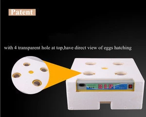 Best quality 294 eggs incubator mini quail egg incubator for family use