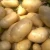Import Best Selling Fresh Potato/Fresh  African potatoes from South Africa
