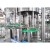 Import Beverage Industry Widely Applied Sparkling Water Bottling Machine / 200ml To 2000ml  Sparking Water Bottling Machine from China