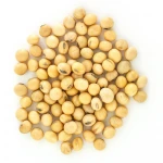Bulk Dried Yellow Soybeans for Sale