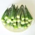 Import Bulk supply frozen fresh vegetables IQF Okra Whole with Favorable price from China