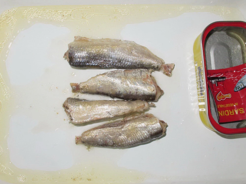 Can food Canned sardine / Mackerel in tomato sauce/oil/ brine 125G 155G 425G
