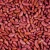 Import cannd red kidney beans products with best quality for whole from China