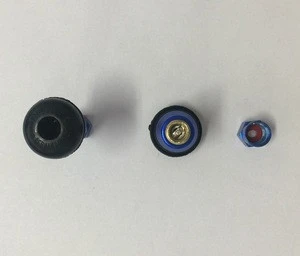 Car Tyre Valve Caps Motorcycle Tire Valves with Dust Caps Blue