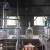 Import castor oil extraction line and cereals oil extraction machines from China