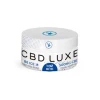 CBD Topical Salve - BE Ice Chinese Herb Cooling Formula - 500 mg  / 1 oz - Broad Spectrum CBD