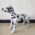 Import Cheap Inflatable Spotty Dog Model Toy For Kids PVC Pet Dog Mannequin For Display from China