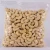 Import Cheap Raw Cashew Nuts/ Cashew Nut Size W180 W240 W320 W450/ Certified WW320 Dried Cashew nut from Austria