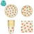Import Childrens birthday party disposable tableware paper cup plate dessert fruit pattern disposable paper plate from China